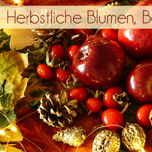 Herbstbeeren