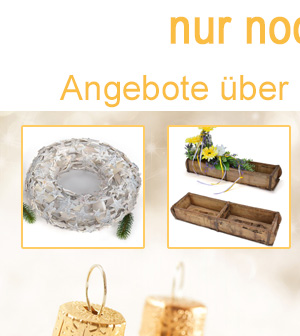 50% Angebote