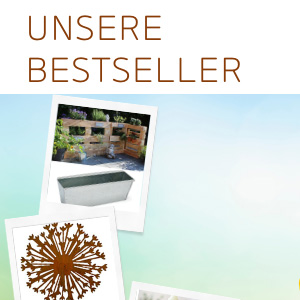 Bestseller im Juni