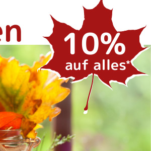 Neuheiten-10%