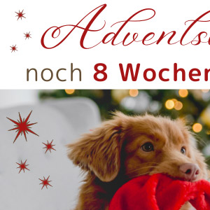 8 Wochen bis 1. Advent