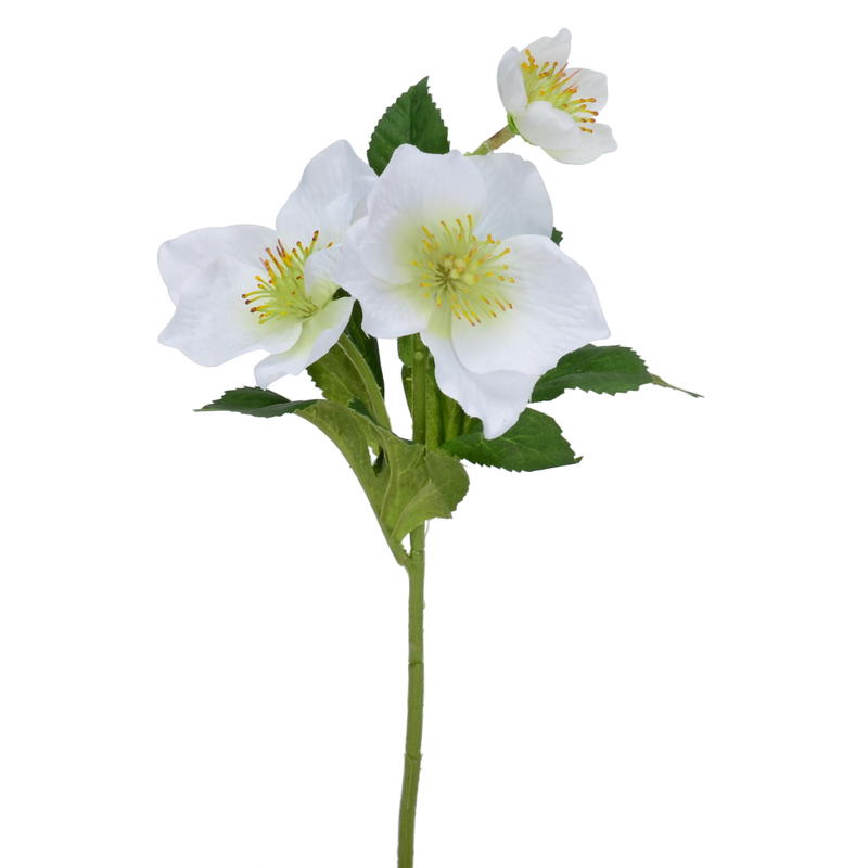 Christrose, künstliche Blume, Kunstblume, Kunstpflanze günstig online  bestellen