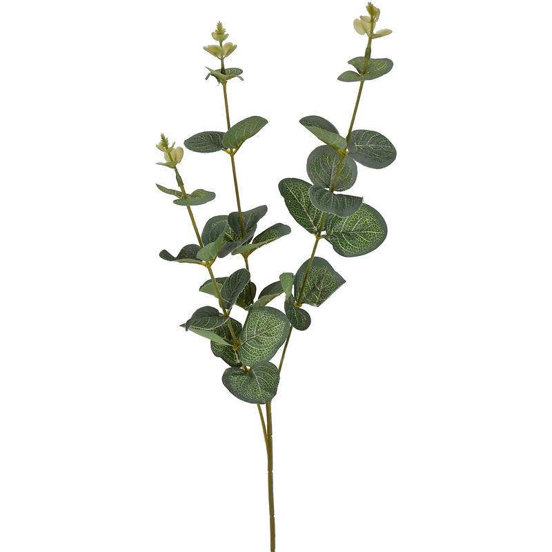 Eukalyptus-Zweig, Kunstblume, Blätterzweig, Zweig, Kunstpflanze, künstlicher  Eucalyptus günstig online bestellen