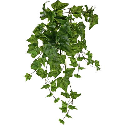 Künstliche Grünpflanzen Zweige, & Baumann kaufen: Blätter Efeu - Creative