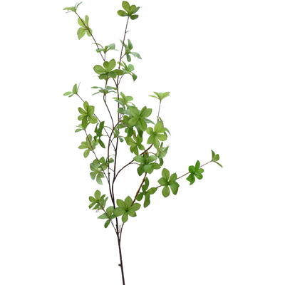 Künstliche Grünpflanzen kaufen: Zweige, Blätter & Efeu - Baumann Creative